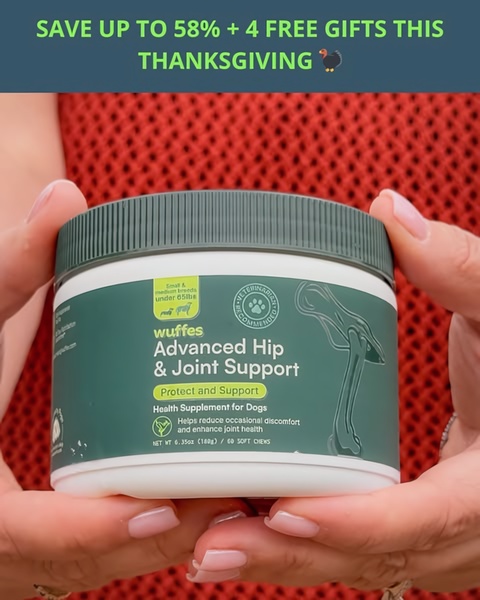 A close-up, high-trust product shot of a dog joint health supplement held by a customer, highlighting a seasonal discount and value-add gift bundle.